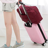 Cocoo Travel Foldable Waterproof Tote Bag Carry Storage Luggage Handbag (Wine1)