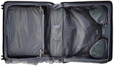 Briggs & Riley Baseline-Softside Wardrobe Spinner Luggage, Black, One Size