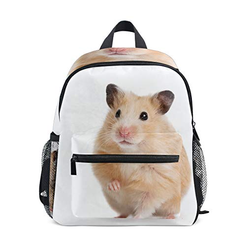 GIOVANIOR Cute Hamster Lightweight Travel School Backpack for Boys Girls Kids
