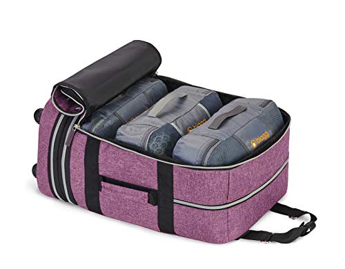 Biaggi Luggage Zipsak Boost Pro Foldable Spinner Carry On, Expands to Check-in Luggage, Purple