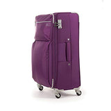Cloe Checked Large 28 inch Water-Resistant Luggage with 360º-spinner wheels in Purple Color