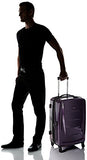 Samsonite Winfield 2 Fashion 2 Piece Set Spinner 20 and 24 With Travel Pillow (One Size, Purple)