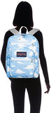 JanSport Big Student Backpack- Sale Colors (Partly Cloudy)