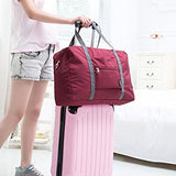 Cocoo Travel Foldable Waterproof Tote Bag Carry Storage Luggage Handbag (Wine1)