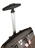 Trendy Flyer Computer/Laptop Rolling Bag 2 Wheel Case Plain Brown