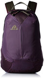 Gregory Mountain Products Sketch 22 Liter Daypack, Zin Purple, One Size