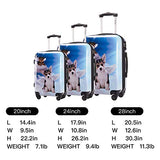 Chariot Luggage Light Weight PC+ABS Spinner Suitcase Sets 20/24/28inch TSA Lock Available Dream