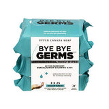 Bye Bye Germs Anti Bacterial Hand Wipes, 3x25, Value Pack, Pack of 3