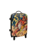Dc Comics Kids' Flash, Multi Colored