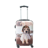 Chariot 20" Lightweight Spinner Carry-on Upright Suitcase-Pilot Dog
