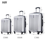 Flieks 3 Piece Luggage Set Spinner Suitcase - TSA Approved - High/Low Temperature Resistance - 20/24/28in (Silver)
