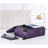 AmazonBasics Belltown Softside Rolling Spinner Suitcase Luggage - 29 Inch, Heather Purple