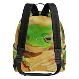 Fresh Green Frog Backpack School Travel Bag Daypack for Women Girls Boys