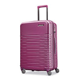 Samsonite Spettro 25" Spinner Purple