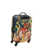 Dc Comics Kids' Flash, Multi Colored