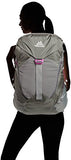 Gregory Mountain Products Maya 42 Daypack, Fog Gray, Small