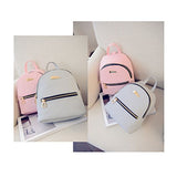 Oulii Fashion Causal Backpack Travel Handbag Mini School Bags Daypack For Lady Girls (Grey)