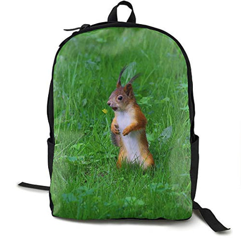 Curios Chipmunk Rodent In Garden Personalized School Backpack Lunchbox Bag Set for Student and adult 16.5 X 12.5 X 5.5inch