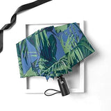 NiYoung Green Banana Leaf Print Travel Sun&Rain Windproof Umbrella, Lightweight Compact Automatic Umbrellas Golf Umbrellas for Kids Women Men, Umbrella for Summer Gifts