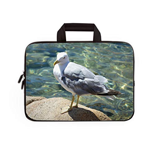 Double Zipper Laptop Bag,Bellissimo gabbiano sugli scogli Delle limpide acque Della Sardegna,14