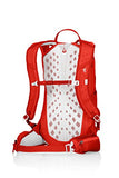 Gregory Mountain Products Miwok 12 Liter Men's Daypack, Citrus Red, One Size