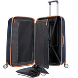 Samsonite Black Label Lite Cube DLX 20" Hardside Spinner (One Size, Aluminium)