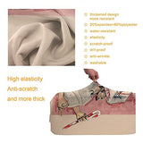 ZHUOBAIL Ka-pp_a A_lp-ha Ps-i 1911 KAP Fraternity Nupes Travel Suitcase Protector Elastic Trunk Protective Case Washable Luggage Cover with Concealed Zipper Suitable 22-24 inch