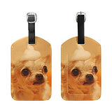 Baggage Tags Brown Chihuahua Dog Travel Luggage PU Leather Suitcases Label for Womens Mens Kids,