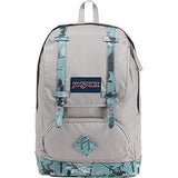 JanSport Cortlandt Backpack (Springing Garden)