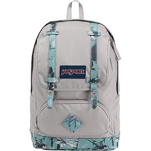 JanSport Cortlandt Backpack (Springing Garden)