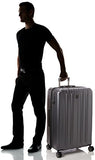 Delsey Luggage Helium Titanium 29 Inch Exp Spinner Trolley Metallic, Graphite, One Size