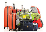 Pokemon Pikachu Designed Pvc Embossed Luggage Id Bag Baggage Name Travel Tag Go (Standard, Pikachu)