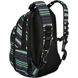 Case Logic Bpca-115 Berkley Plus 15.6-Inch Laptop + Tablet Backpack,Storm