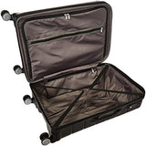 Samsonite Freeform Hardside Spinner 24, Black