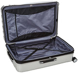 Delsey Luggage Helium Titanium Carry On And 29" Spin Lug, Silver