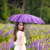 Plemo Automatic Umbrellas, Windproof Purple Daisy Design Compact Folding Umbrellas with Anti-Slip