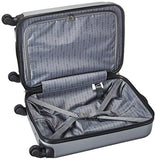 Kenneth Cole Reaction Gramercy 20" Embossed Pap (Abs And Pc Blend) 4-Wheel Upright, Light Silver