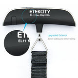 Etekcity Digital Hanging Luggage Scale, Rubber Paint, Temperature Sensor, 110 Pounds, Silver