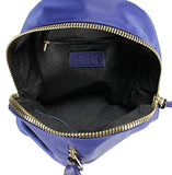 Scarleton Dual Zip Backpack H195507 - Blue