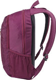 Case Logic Jaunt 15.6-Inch Laptop Backpack (Wmbp115 Acai)