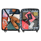 Travelpro Maxlite 5 Hardside 3-PC Set: Int'l C/O and Exp. 29-Inch Spinner with Travel Pillow (Dusty Rose)