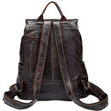 Laptop Outdoor Backpack, Berchirly Casual Large College School Travel Hiking Camping Rucksack