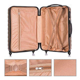 4 PCS Luggage Sets with Spinner Wheels,Carry On Suitcase,Luggage Hardshell Travel Luggage Sets (Champagne)