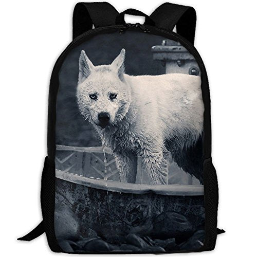 Animals Geographic National Unisex Backpack Lightweight Laptop Bags Shoulder Bag School Bookbag