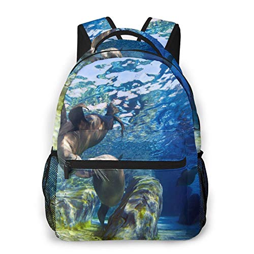 Multifunctional Casual Backpack,Blue Seal Playful California Sea Lions Zalophus Californianus Come Together For Kiss,Adult Teens College Double Shoulder Pack Travel Sports Bag Computer Notebooks