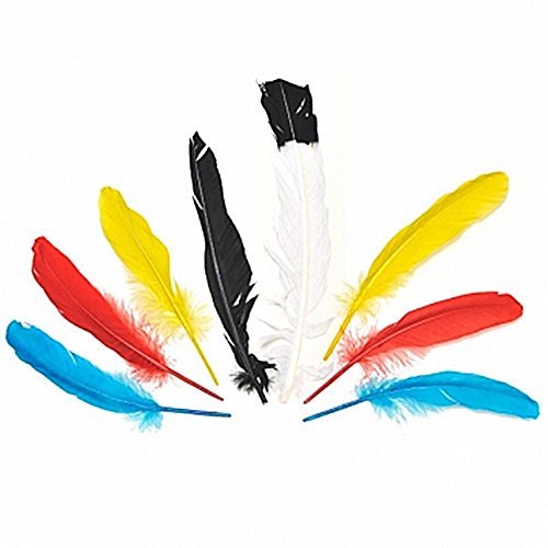 Native American Bag of Feathers