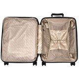 Andiamo Pantera Large Hard Case Luggage With Spinner Wheels (Carbon Black)
