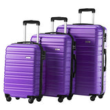 Luggage Set 3 Piece Set Suitcase Set Spinner Hard Shell Lightweight (Purple)
