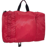 eBags Pack-it-Flat Large Hanging Toiletry Bag and Kit - (Raspberry)