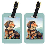 Caroline'S Treasures 7023Bt Pair Of 2 Dachshund Chocolate And Tan Long Haired Luggage Tags,